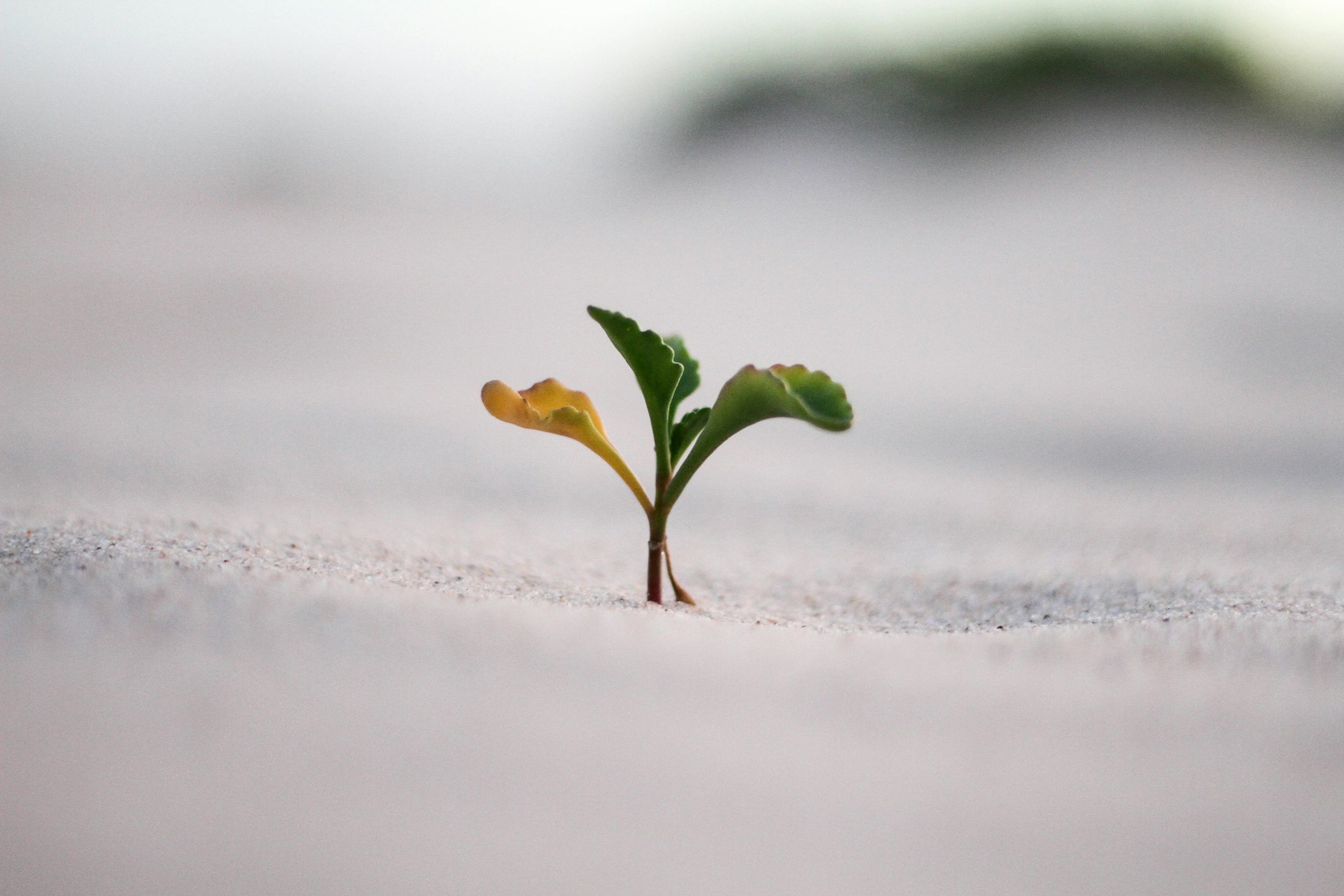 How to Get Better at Testing: Lessons from My Journey